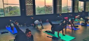 Rhino Fitness Hub
