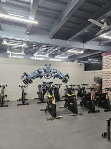 Rhino Fitness Hub